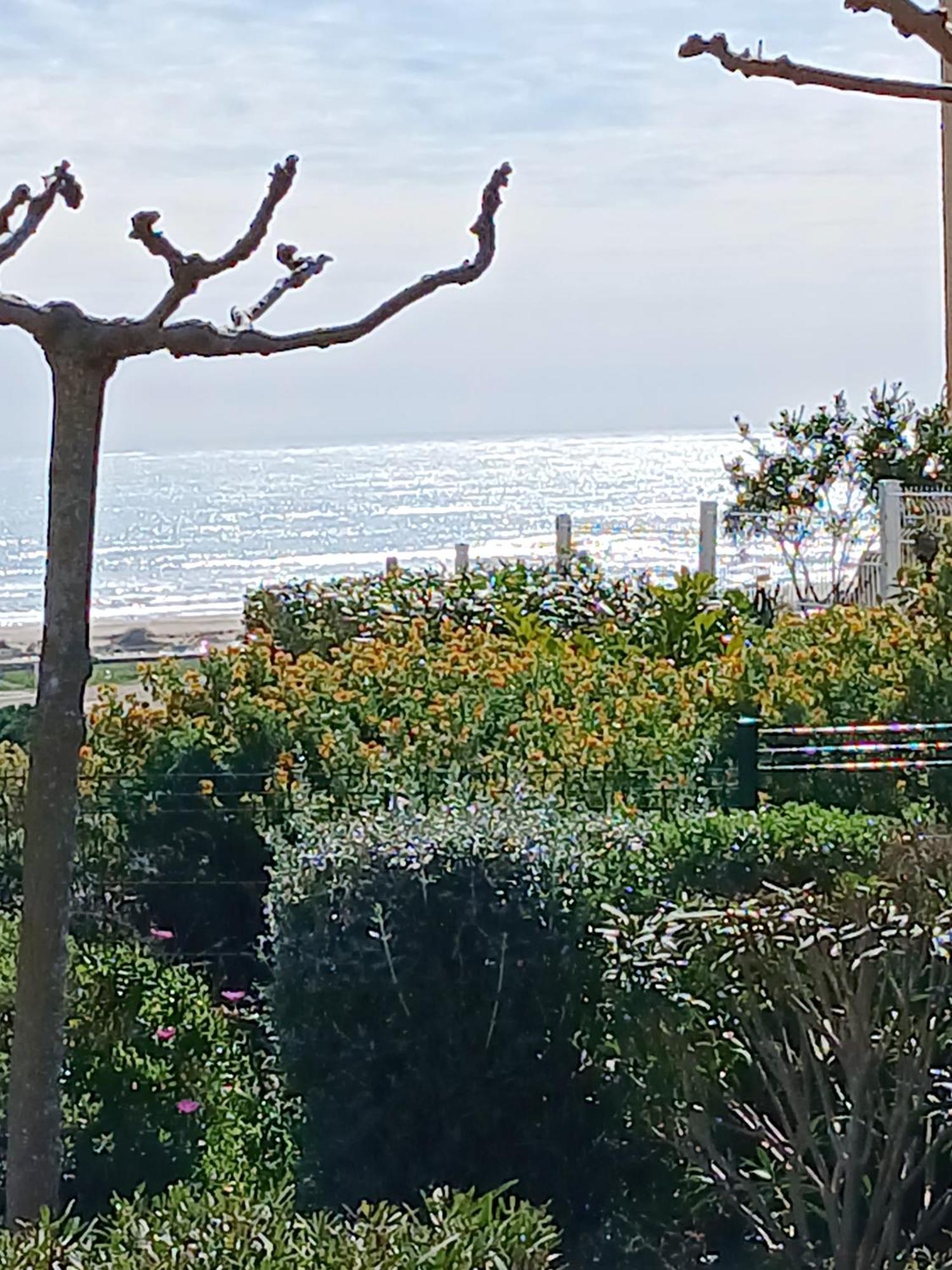 Plain-pied Jardin 6 Personnes Clim Vue Parking Wifi Terrasse Piscine Dans La Saint-Pierre-la-Mer (Aude)