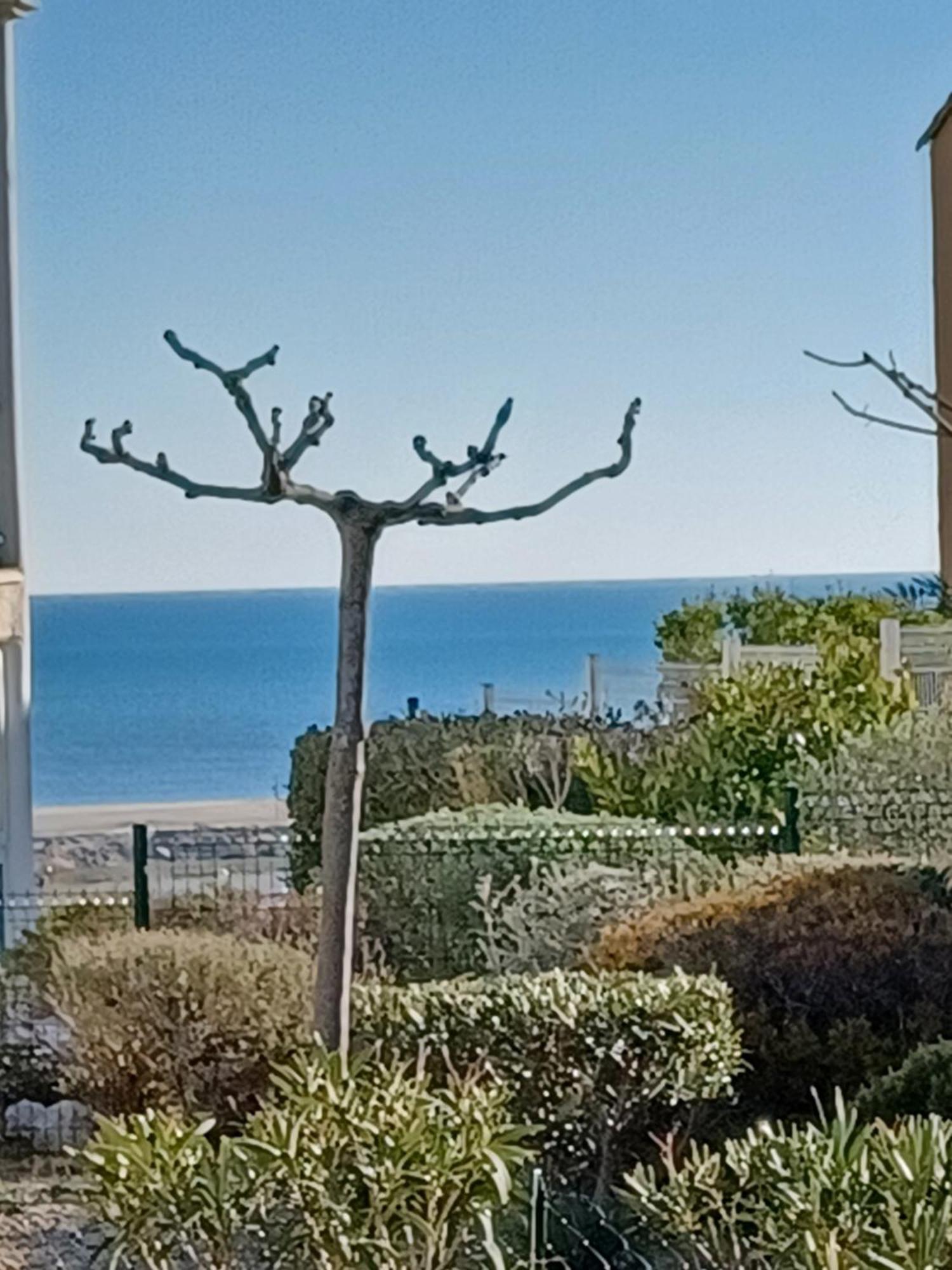 Plain-pied Jardin 6 Personnes Clim Vue Parking Wifi Terrasse Piscine Dans La Apartment
